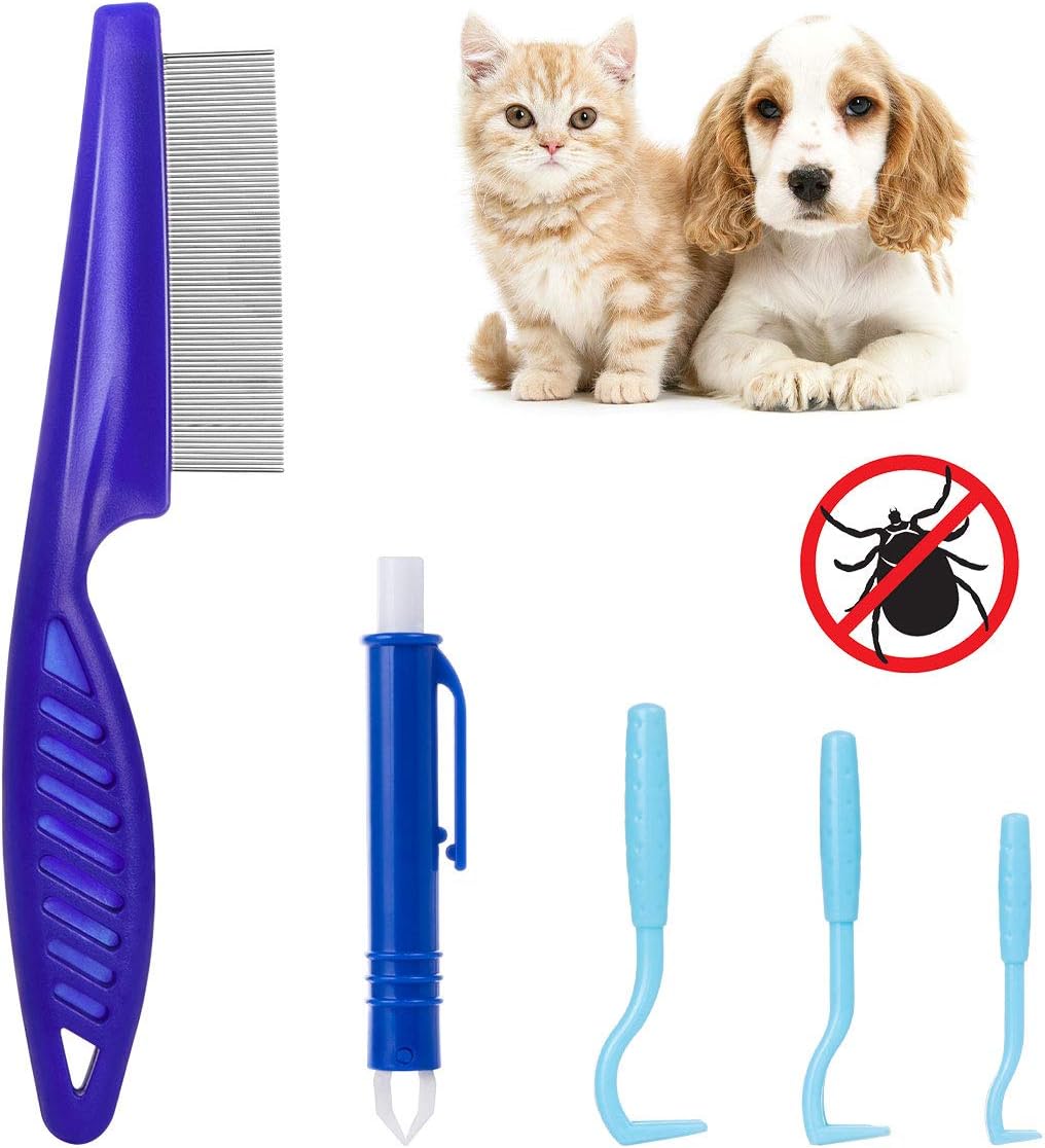 collare in pelle per cavalli