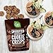 Go Raw Snacks, Sprouted Superfood Cookie Crisps, Gluten Free, Vegan, Natural, Organic, Choco Crunch, 18 Oz, Pack of 6