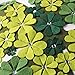 Shamrock Green Throw Pillows Covers 18x18 Embroidery Clovers Irish Pillow Cases Applique Diamond Throw Pillow Cover White Spring Green