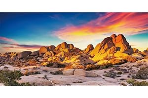 YongFoto Reptile Terrarium Background - 72x18 inch Desert Rocky Bush Thorns Western Wilderness Habitat Backdrop