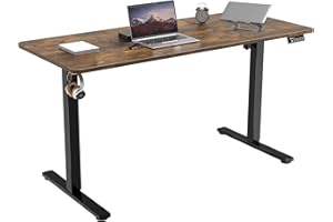 ERGOMAKER 55" Electric Standing Desk, Adjustable Height, Sit Stand Up Desk for Home Office & Computer Workstations, Memory Controller, Rustic Brown