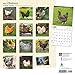2017 Monthly Wall Calendar - Chickens