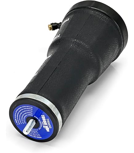 クイッポ Amazon.com: AUTOKAY 21338453, 24417728 Cab Air Springs Shocks Fits