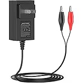 NASTIMA 6V LiFePO4 Battery Charger, 7.3V 1A Smart Charger for 6V Lithium Iron Phosphate Battery