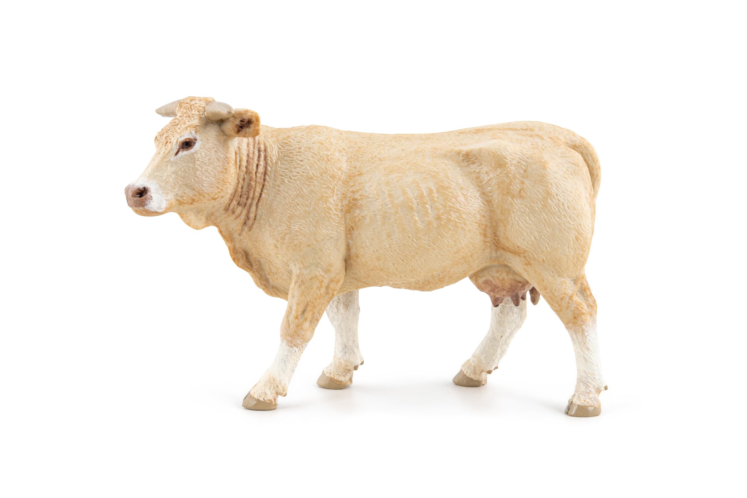 Papo - Realistic Blonde D’Aquitaine Cow Figure Toy for Kids - Ages 3+ - Farm Life Collection - Educational Play Farm Animals - Gift Idea Toy for Girls and Boys - 11.5 Cm X 4 Cm X 7.5 Cm