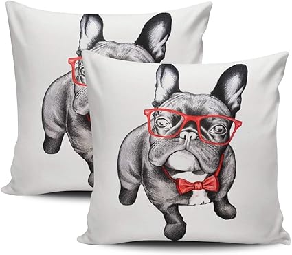 CDMT-XU1 Decoración del hogar, Almohada de Moda con Gafas Rojas