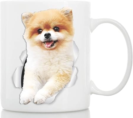 pomeranian in a cup