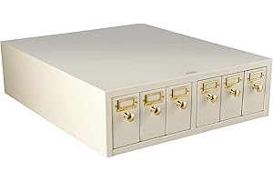 4E's USA Slide Storage Cabinet - Modular Slide Storage with 6 Drawers Hold Up to 5,000 Slides Lab Storage Cabinet for Microscope Slides, Compatible with Similar Cabinets Already in Use