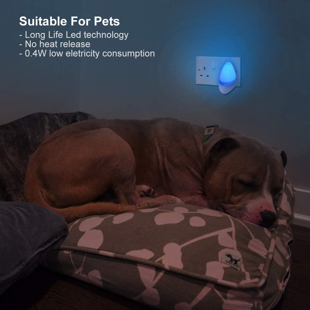 Blue Automatic LED Night Light - Plug in & Energy Saving Dusk 2 Dawn LED Night Light Sensitive Night Light - Image 5