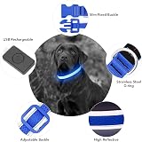 YFbrite Light Up Dog Collar USB Rechargeable LED Blue Medium view 5