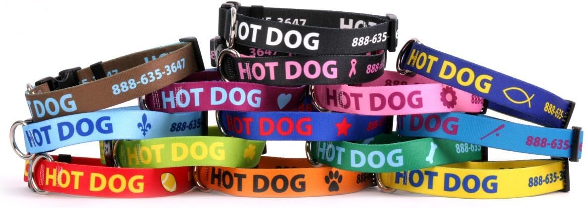 embroidered dog collars amazon