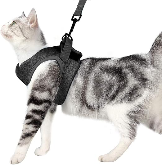 Dotoner Harnais Et Laisse Pour Chat Ultra Leger Col Chaton Doux Et Confortable Veste De Marche Pour Chat Course A Pied Antifuite Convient Pour Chiots Lapins Gri M Amazon Fr Animalerie