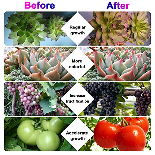 5 Timing+Dimmable+Spectrum+Adjustable+Gooseneck