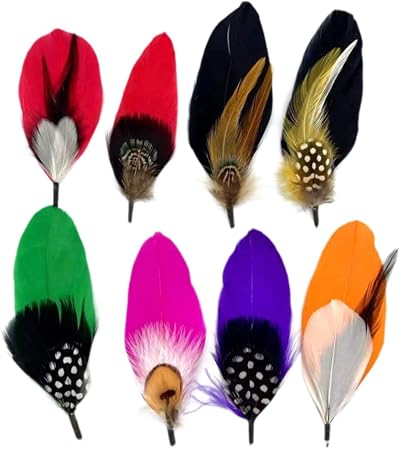 rockible Fedora Hat Feathers Lightweight Assorted 10pcs for Clothing Crafting