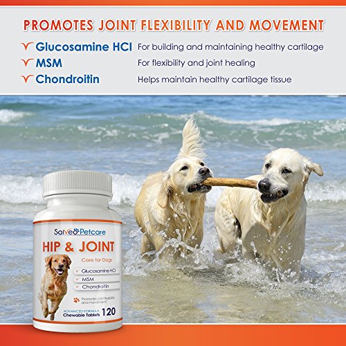 Salveo Petcare Glucosamine for Dogs 800mg Advanced Hip and Joint