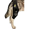 AGON Dog Knee Brace – Professional Knee Support Brace for Dogs with Adjustable Hinge Stabilizer – Premium Neoprene Hip Brace for Knee Support, Dog Recovery, and Joint Support (Right Leg, Small)