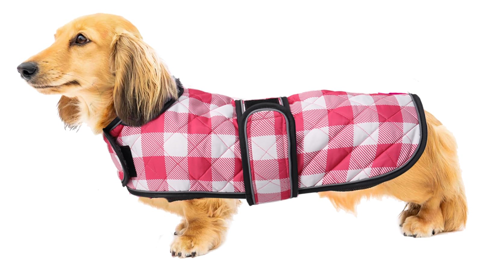 Geyecete Waterproof Warm Thermal Quilted Dachshund Coat with warm fleecy lining inside,Outdoor Dog Apparel with Adjustable Bands for Small,Medium Dog-Pink-S
