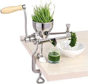 GONGFF Juicer,Hand Stainless Steel Wheatgrass Juicer,Manual Slow Squeezer Fruit Wheat Grass Vegetable Orange Juice Press Extractor