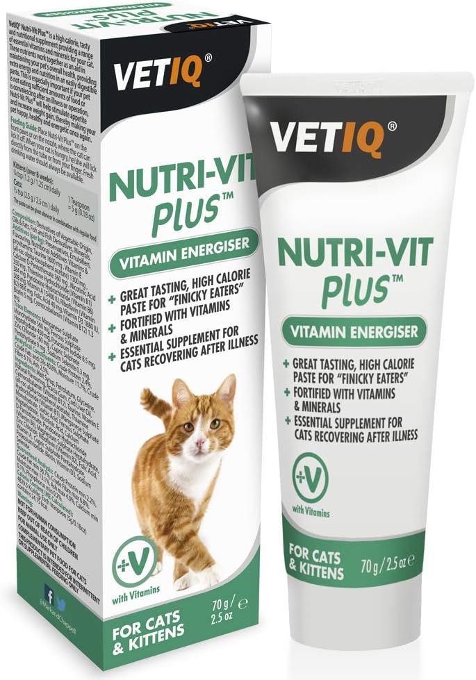 vit vet pet care