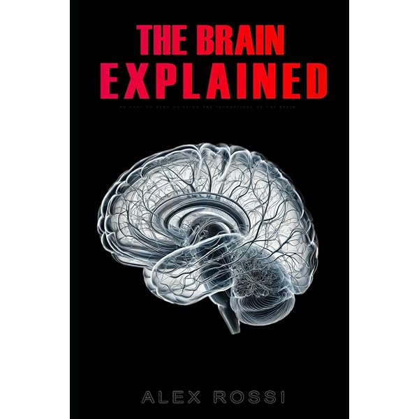 Amazon.com: Understanding the Brain : Jeanette Norden: Movies & TV