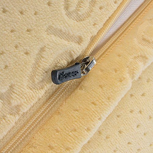 Thai latex pillow,student stereotypes pillow-B