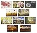 20 Postcards - Christian Scripture Inspirational Bible Verses - Floral Glossy Photographic Designs - 4 x 6 Inches