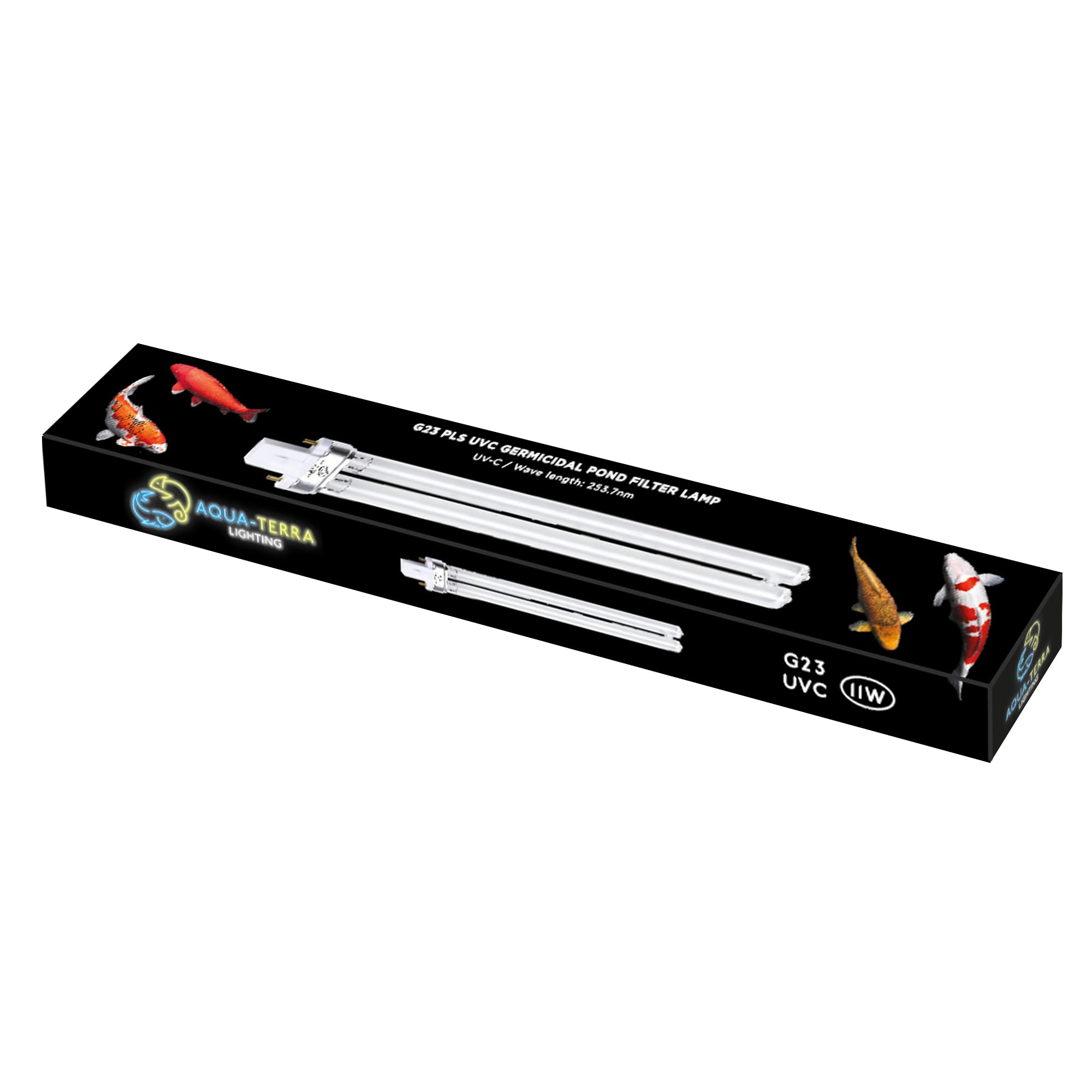 View 6