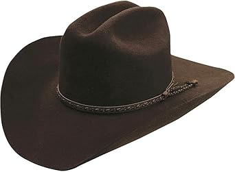 chocolate felt cowboy hat