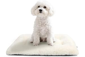 Crate Beds for Small Dogs Ultra Soft Cat Bed for Indoor Cats Washable & Anti-Slip XS Kennel Pads for Crates 22 Inch Fluffy Co