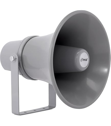 Amazon.com: DEEJAY LED Two 12in Woofers Plus Two Tweeters and O