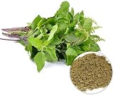 Nature's Spirit Tulsi Holy Basil Powder 100g Premium Grade 100% Pure view 2