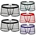 Leories Men's Openwork Mesh Breathable Underwear Lingerie Bodysuit Briefs