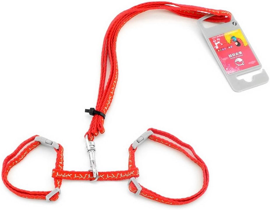 Ranphy Small Dog Halter Harness Cat Basic Harness Pet Collar with Lead Set Adjustable for Walking Training Running Hiking Red - Image 5