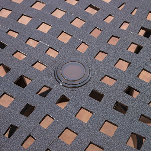 2 Christopher+Knight+Home+237091+Hallandale