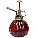 westeng 1Pc Spray Bottle Sprinkler System Retro Old Glass Spray Bottle Watering Succulents Plants Indoors 9*16cm red
