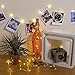20Ft Battery Operated Indoor and Outdoor String Lights| with 40 LED Warm White Photo Clips| to Hang hold Photos, Artwork & Christmas Cards
