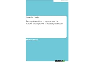 Perceptions of intercropping and the natural undergrowth in rubber plantations