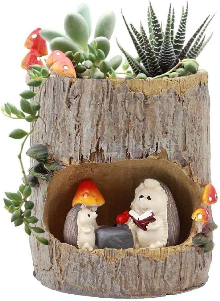 Best succulent fairy garden planter