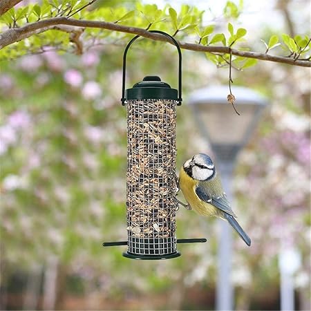 Amazon Com Nmsla Bird Feeder Hanging Automatic Bird Feeding Tool