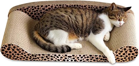 Muodu à Chat Canapé Forme Chat Meulagecouchagedivertissement