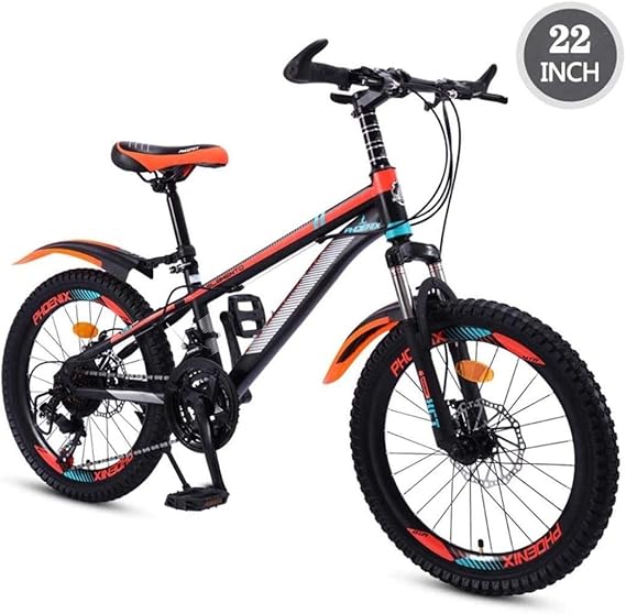 22 inch bmx
