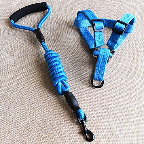CocoPet Heavy Duty Adjustable Nylon Dog Leash Coupler and Collar Set with Handle, Durable and Strong for Training Walking Small Medium Dogs blue