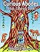 Curious Abodes Adult Coloring Book: 27 Unique Beautiful Fairy Houses and Doors to color by Tabitha L Barnett