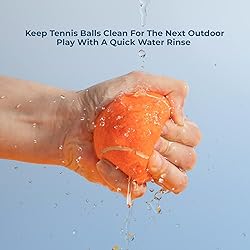 Best Pet Supplies Interactive Squeaky Dog Chew