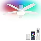 ZMISHIBO 48 inch RGB Ceiling Fans with Lights and