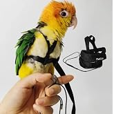 Adjustable Bird Harness with 78.7 Inch Leash, Outdoor Flying Training Rope Kit for Bird Parrots, Parrot Flying Rope Straps Outdoor Training Traction Rope for Small Medium Large Size Birds (Petite)