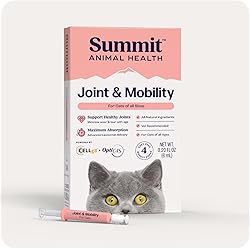 61snyIzFdsL. AC UL250 SR250,250