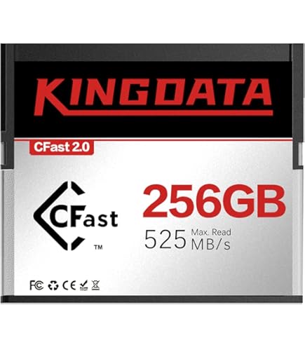 SanDisk CFast2.0 256GB+Type-Cリーダー 美品 81ZAlN2wEDL.jpg_BO30,255,255,
