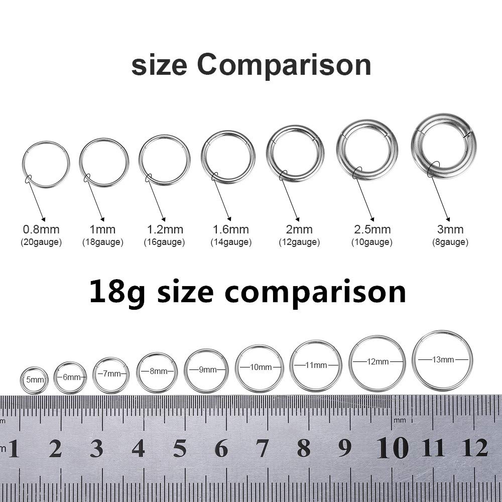 ORANGELOVE Hypoallergenic Nose Rings 20G 18G 16G 14G 12G 10G 8G 316l Surgical Steel Septum Jewelry Hinged Segment Ring Body Piercing Nose Hoop Lip Rings Nose Helix Cartilage Rook Earrings