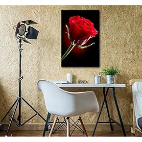 Canvas Prints Wall Art - Closeup of Red Rose Flower Against Black Background | Modern Wall Decor/Home Decoration Stretched Gallery Canvas Wrap Giclee Print & Ready to Hang - 12" x 18"